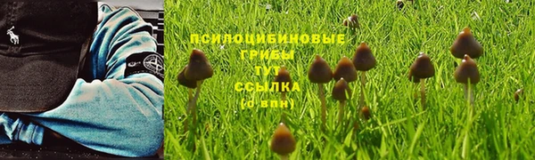 а пвп мука Верея