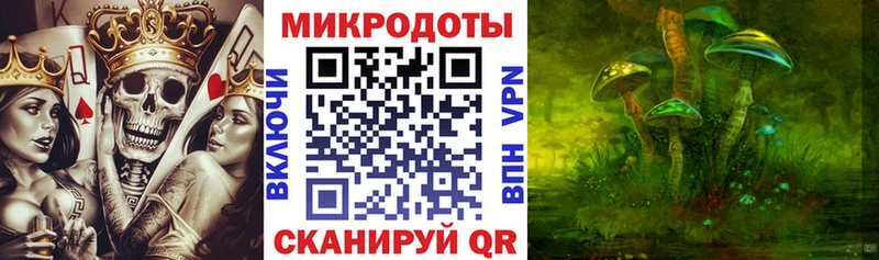 дарнет шоп  Бологое  Псилоцибиновые грибы мухоморы 